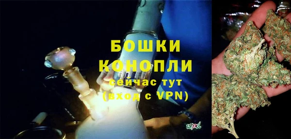Альфа ПВП Верея