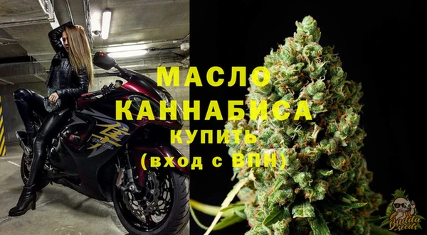 Альфа ПВП Верея