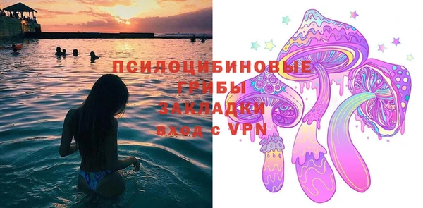 Альфа ПВП Верея
