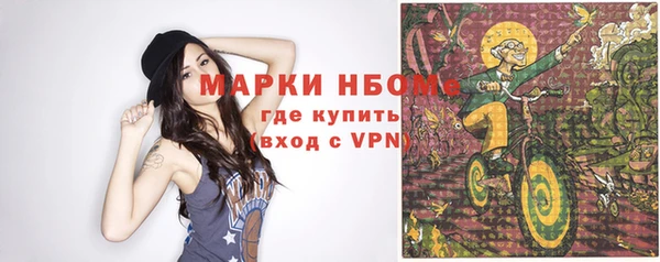 Альфа ПВП Верея