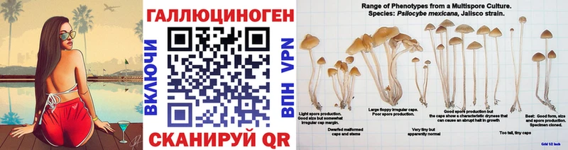 как найти закладки  Верхняя Пышма  Галлюциногенные грибы ЛСД 